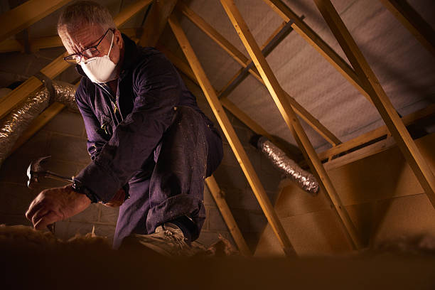 Best Energy Efficiency Solutions in Dry Ridge, OH